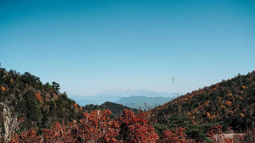 历史上有十大忠臣，除了这些你还知道谁吗